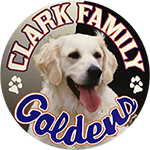 Clark_Logo